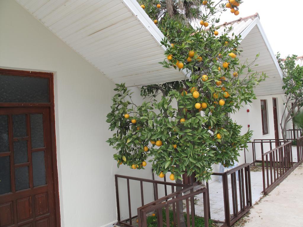 Dream Park Bungalow Titreyengol Buitenkant foto