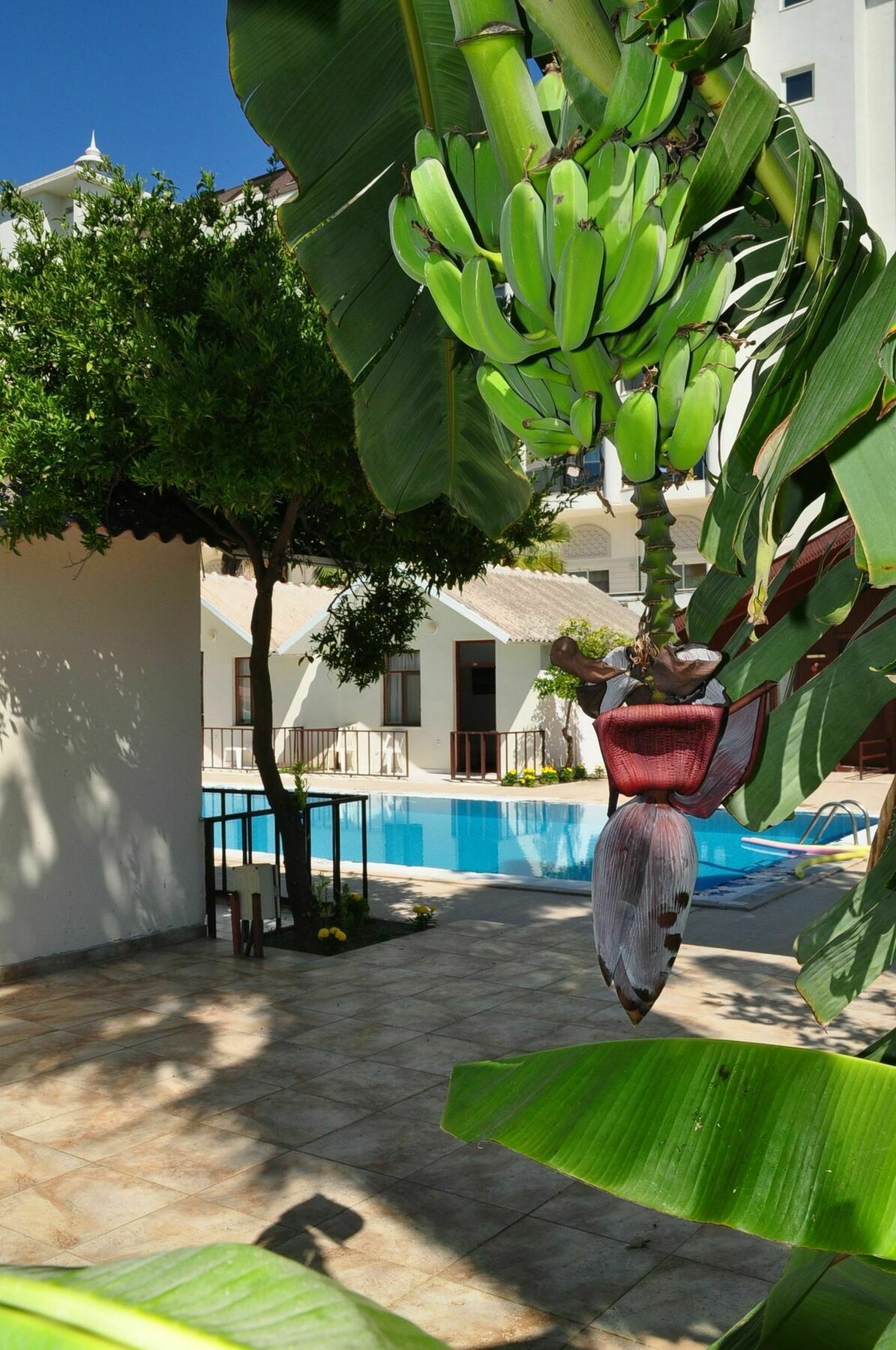 Dream Park Bungalow Titreyengol Buitenkant foto